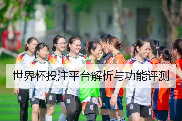 世界杯投注平台解析与功能评测